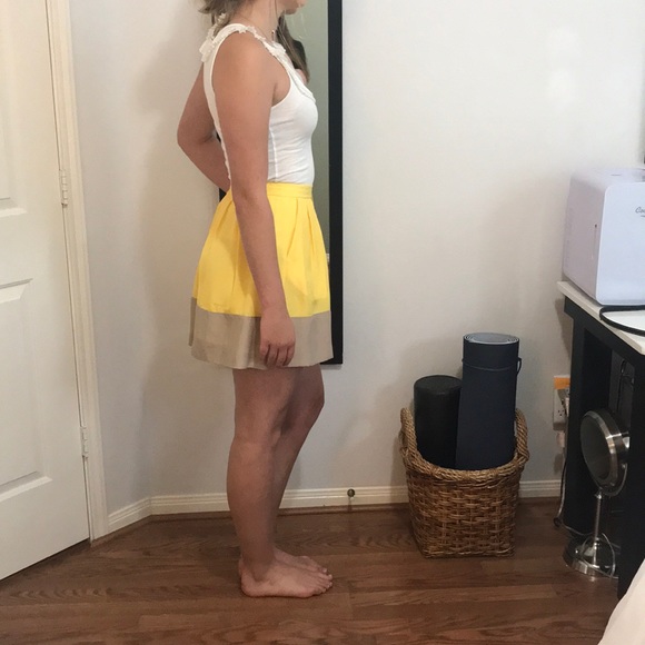 J.Crew Factory Pleated Color Block Skirt - Picture 5 of 9